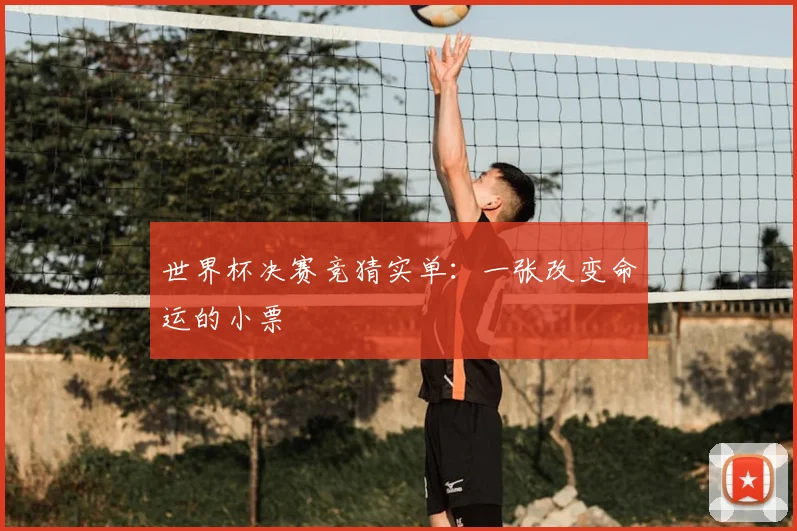 世界杯决赛竞猜实单:一张改变命运的小票